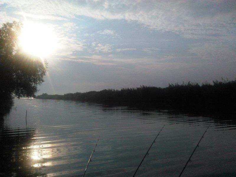 Rosu - Septembrie  2015 - img20150925081105.jpg